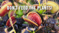 Thumbnail for version as of 17:22, 30 June 2023